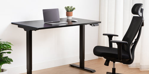 Ergonomic Chairs for Posture and Back Support