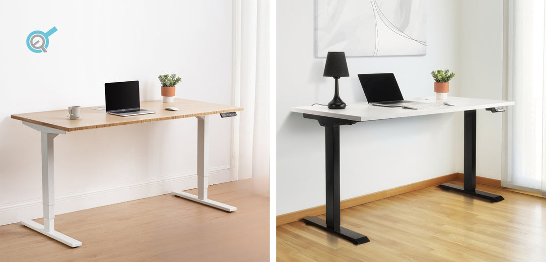 Prime Ryzer vs. Solo Ryzer: Which Should You Choose?
