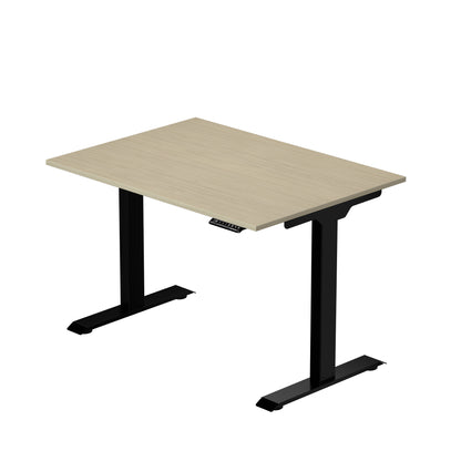 Prime Ryzer - Entry-Level Standing Desk