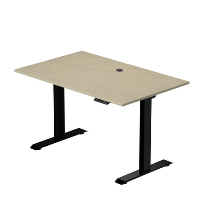 Prime Ryzer - Entry-Level Standing Desk