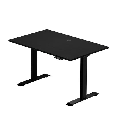 Prime Ryzer - Entry-Level Standing Desk