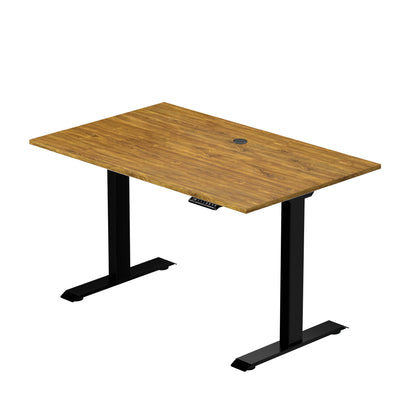 Prime Ryzer - Entry-Level Standing Desk