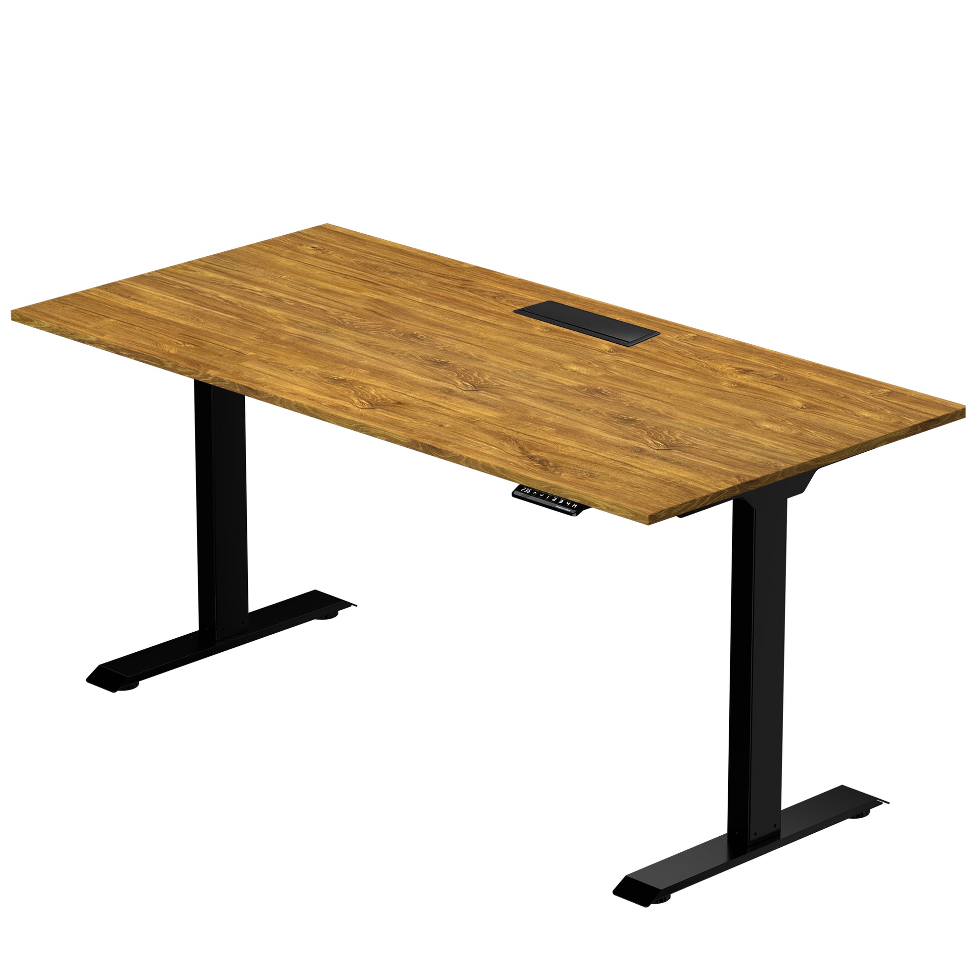 Prime Ryzer - Entry-Level Standing Desk