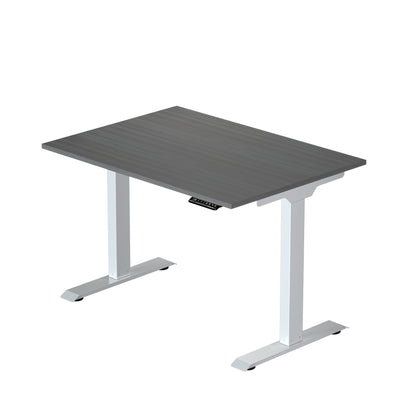 Prime Ryzer - Entry-Level Standing Desk