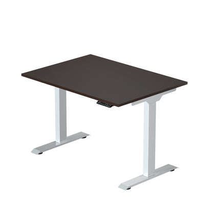 Prime Ryzer - Entry-Level Standing Desk