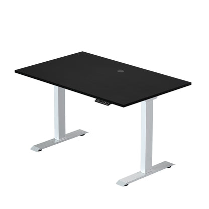 Prime Ryzer - Entry-Level Standing Desk