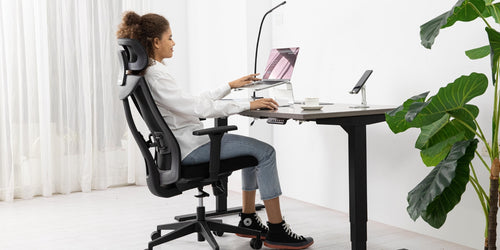 Mesh and Adjustable Chairs for Everyday Comfort